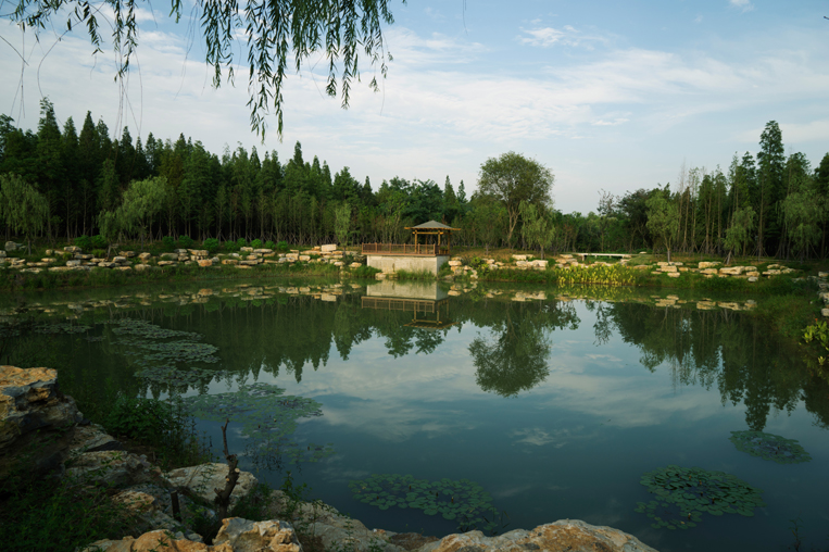宿遷三臺山森林公園山林景區(qū)(含鏡湖區(qū))03.jpg